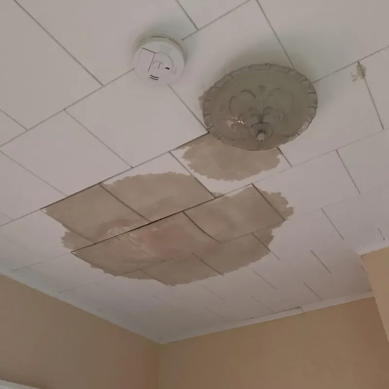 Ceiling Water Damage Repair in Monroe County, AR